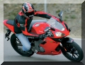 gpr125_10.jpg
